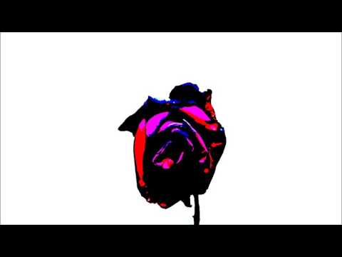 Forgotten Flowers by James Seaborn