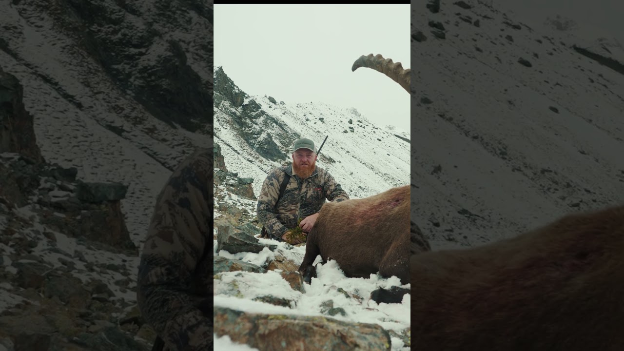 Речь идёт не об убийстве. 