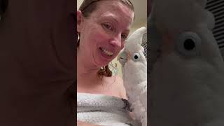 Boos Playful Kiss Post-Shower Fun