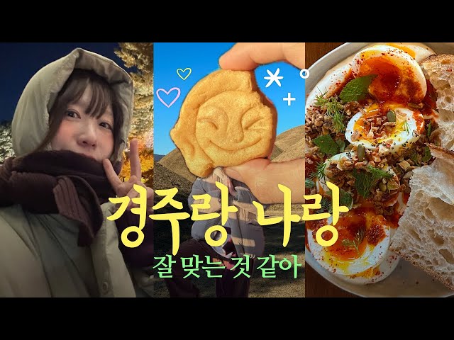 Ep2. 뭐야, 나 경주 또 갈 거임😎✌️ 경주 야경부터 황리단길 먹부림과 카페까지💛 빵지순례 TAK!🥐 부산에서 4시간✨