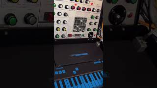 Happy Synthi Saturday😃 The weekend’s here - what better way to start it than spending time with a