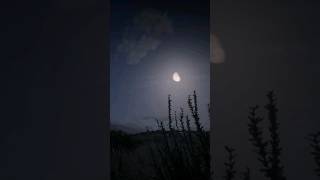 فيديو للتصميم للمونتاج  قمر  ليل background video