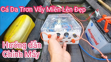 Hướng dẫn chỉnh xiệt lạnh thả cáp cá da trơn vẩy miền lên đẹp