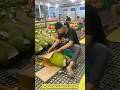 Wrapped with Care: How Premium Jackfruit Get VIP Treatment!