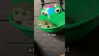 #reptiles #frog #treefrog #frogvideo #weird #animals #cutepets #unusualanimals #frogs #cutefrog