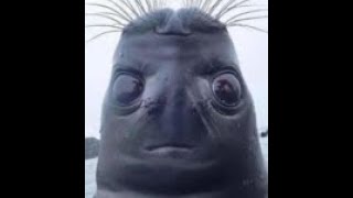 Vhs Tapes Effect Test