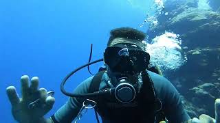 Rocky Island & Zabargad Island Diving