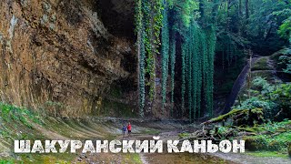 видео: АБХАЗИЯ #12. Фантастический ШАКУРАНСКИЙ ВОДОПАД. А еще водопады ФАТА НЕВЕСТЫ и СРЕДНИЙ. Река ДЖАМПАЛ картинка: АБХАЗИЯ #12. Фантастический ШАКУРАНСКИЙ ВОДОПАД. А еще водопады ФАТА НЕВЕСТЫ и СРЕДНИЙ. Река ДЖАМПАЛ