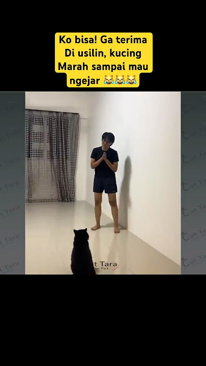 Outside the box! Things that are not accepted are being pushed around, the cat is really angry🙀 #...