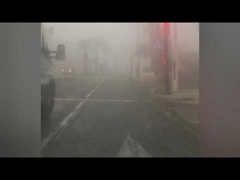 Sea cucumber V3 (Trepang2 inspired track)