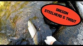 Oregon Steelhead Fishing | Bobber Down + Bonus Trout, Tips and Tutorials
