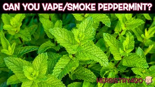 Can You Vape/Smoke Peppermint | Dry Herb Series | Herbistry420