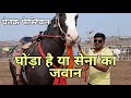 सेना का जवान लगता है यह घोड़ा | chetak festival sarangkheda 2019 | pkraj vlogs | best horse