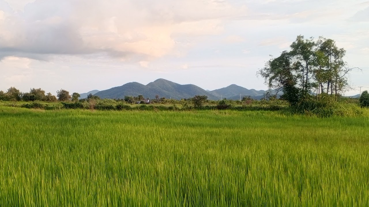 Survival Skills SIMPLE and USEFUL save SOAP & Water 