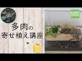 【植木鉢専門店バージ】多肉の寄せ植え講座