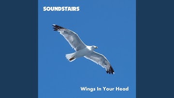 Wings in Your Head