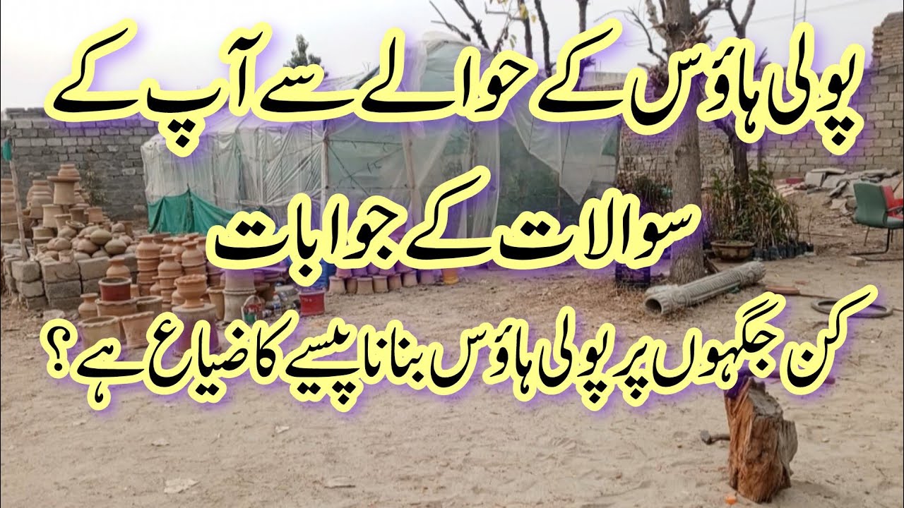 How to care plants in extreme cold environment .How to save your plants in professional way .Part 2