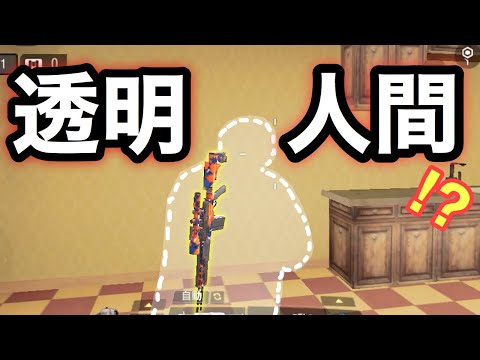 【CoDモバイル】バトロワで透明人間になれる⁉︎ある条件を満たすと。。【CoD Mobile】天ぱくん