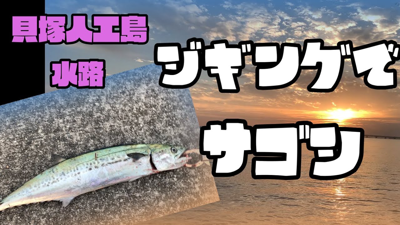 【大阪 貝塚人工島　水路】夕まずめを狙ってショアジギングに行ってきました！サゴシが釣れたので、今回は恥ずかしながら調理編も撮影させていただきました....