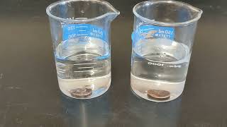 Penny in vinegar / water
