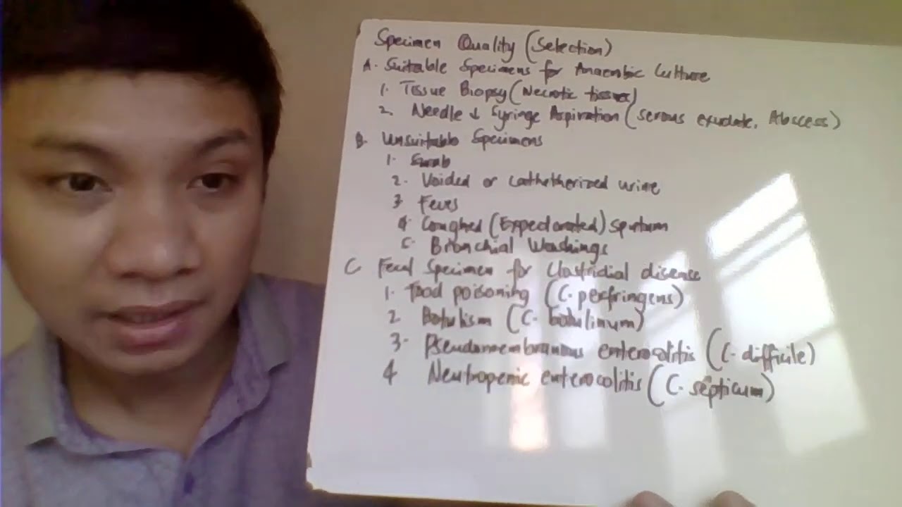 ANAEROBES PART 1
