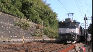 3075レ 牽引機EF64-1033 函南~三島間通過