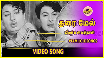 Tharaimel Pirakka viaithan தரை மேல் பிறக்க வைத்தான்  Video Song #mgrsongs #tamiloldsongs