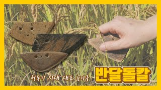 [내 손안에 부박] 반달돌칼