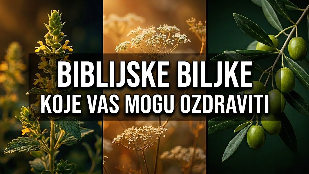 20 BIBLIJSKIH BILJAKA koje liječe i jačaju tijelo! (moderna znanost ih potvrđuje)