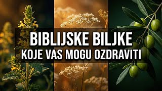 20 Biblijskih Biljaka Koje Lijee I Jaaju Tijelo moderna Znanost Ih Potvruje
