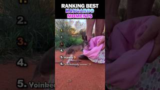 Ranking Best Kangaroo Moments🦘