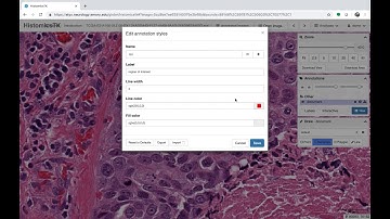 Viewing and Annotation Basics - Digital Slide Archive