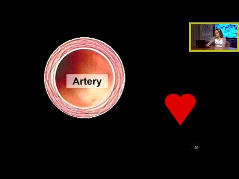 24 Perfusion 1