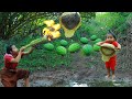 Wild mother and son encounter big bees in forest and pick watermelon eat