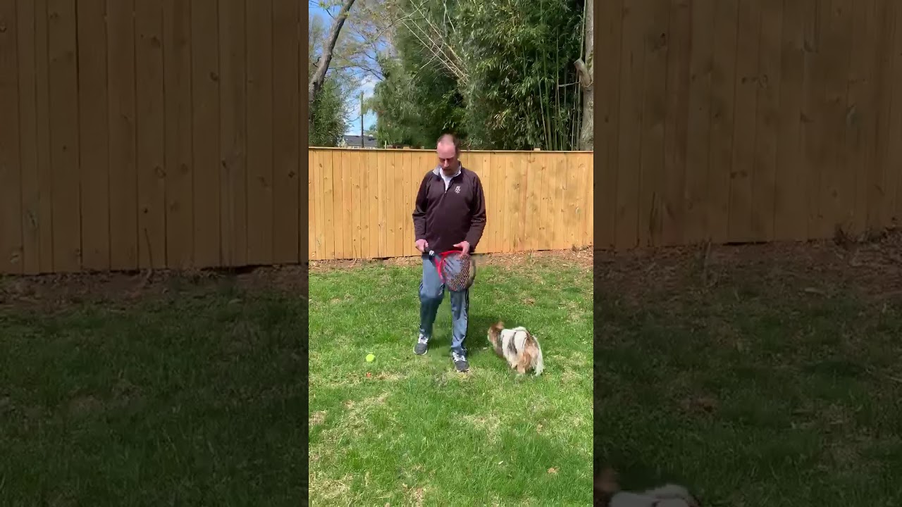 At Home Tennis Figure 8 Agility Workout