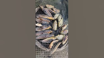 Cá nướng muối ớt!