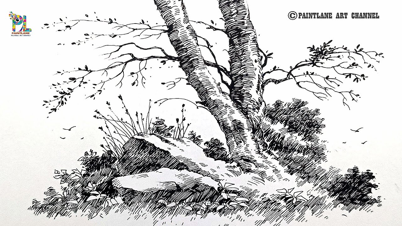 How to draw Beautiful Ink Pen Landscape Drawing | Tree & Rock Scenery ...