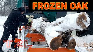 Testing the HD36V2: Frozen Ugly White Oak Crotch Log