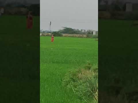 Mati song Odia