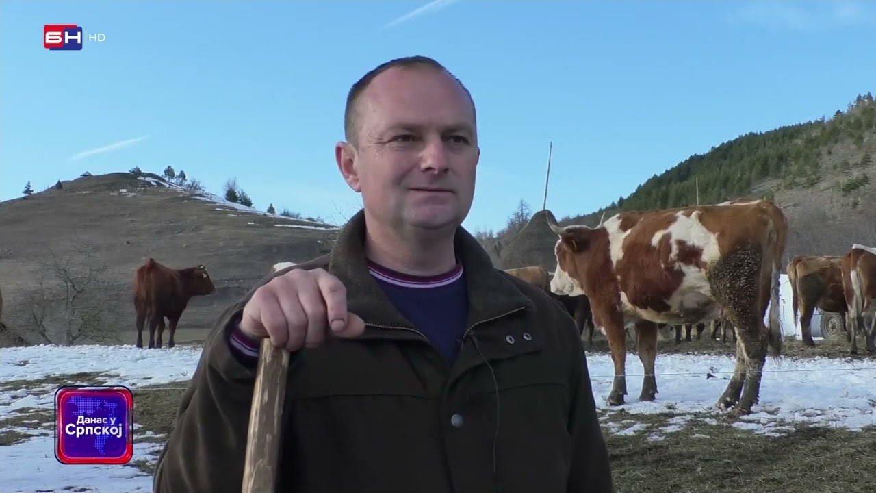 Petočlana porodica Mandić iz Trnova u Šipovu uspješno se bavi stočarstvom (BN TV 2022) HD