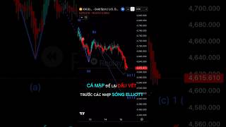 CÁ MẬP ĐỂ LẠI DẤU VẾT TRƯỚC CÁC NHỊP SÓNG #trading #crypto #forex #indicator #shorts #tradingview