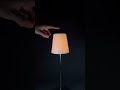 This Table Lamp Changed My Room | Sleek, Minimal #tiktokmademebuyit #lamp #shorts #light