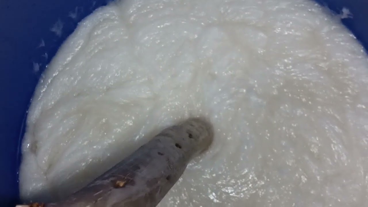 ኑ አብረን ላርጎ አብረን እንስራ