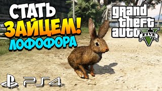 GTA 5 PS4 | Как стать ЗАЙЦЕМ!? GTA 5 PS4 | Как стать ЗАЙЦЕМ!?