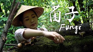 In the past few years, I picked different fungi in Yunnan in the same July