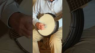 Gold Tone AC-5 | Take-Anywhere Composite Banjo | 15% Off