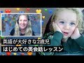 子供に英会話を教えるコツ l 子供オンライン英会話アプリのレビュー【Cambly Kids】Toddlers first English lesson