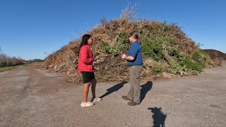 Lafayette Parish Recycles Christmas Trees into Nutrient-Rich Compost