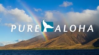 PWF- Pure Aloha