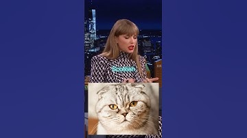 How many cat breeds can Taylor name in 30 seconds??? #taylorswift #taylorswiftedit